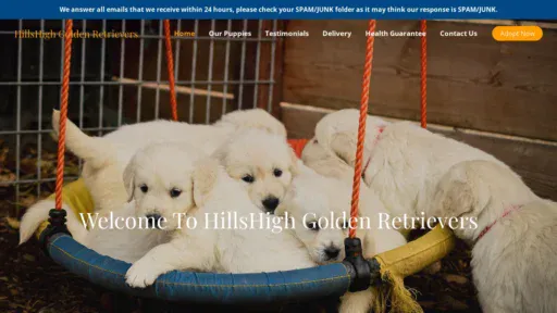 A screenshot of Hillshighgoldenretrievers.com