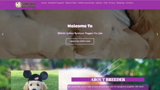 A screenshot of Hillsidegoldenretriverpuppiesforsale.com