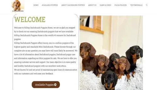 A screenshot of Genlanfamilystbernard.com