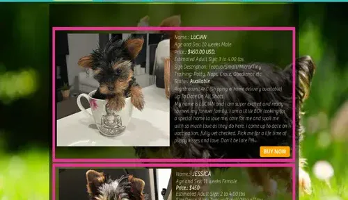 A screenshot of Genlanfamilystbernard.com
