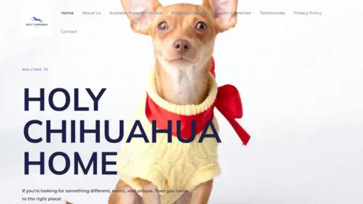 A screenshot of Holychihuahuahome.com