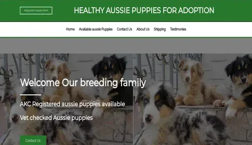 A screenshot of Genlanfamilystbernard.com