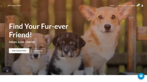 A screenshot of Homebreededcorgi.com