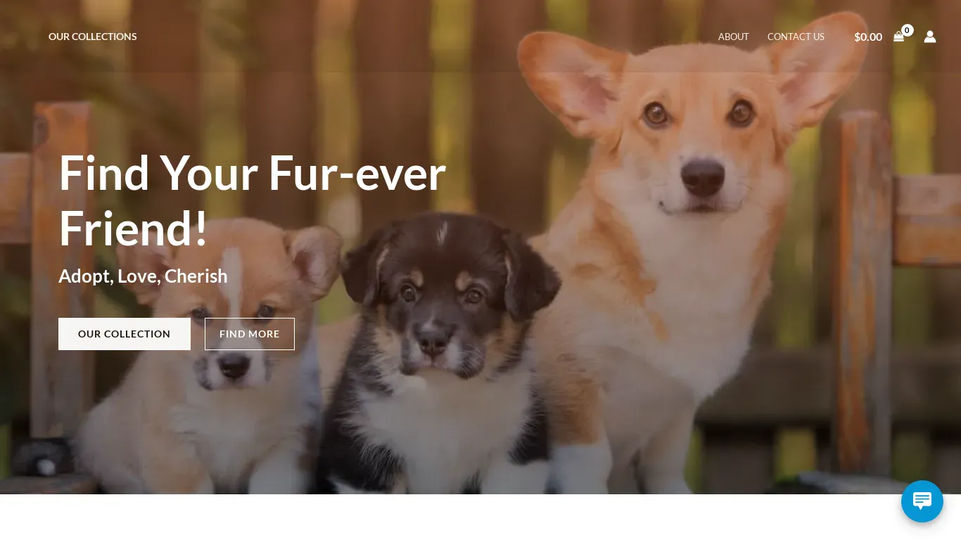 is Home Breeded Corgi Puppies – Welcome to 'HomeBreedCorgi.com' – Your trusted haven for ethically raised, affectionate Corgis. Immerse yourself in a world of joy as we unite families with home-bred, healthy companions. Explore our site and embark on the heartwarming journey of finding your perfect Corgi match. Happiness begins at home. legit? screenshot