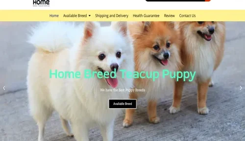 A screenshot of Genlanfamilystbernard.com