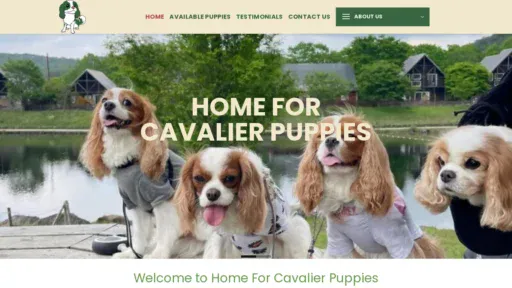 A screenshot of Homeforcavalierpuppies.com