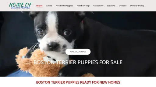 A screenshot of Homeofbostonterrier.com