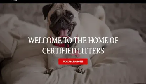 A screenshot of Genlanfamilystbernard.com