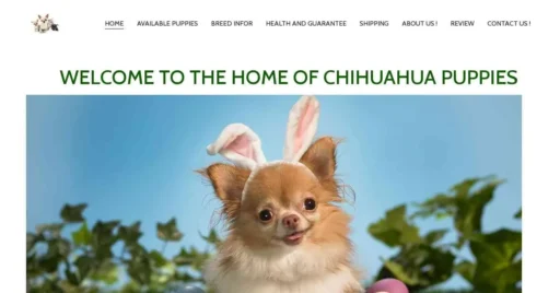 A screenshot of Genlanfamilystbernard.com