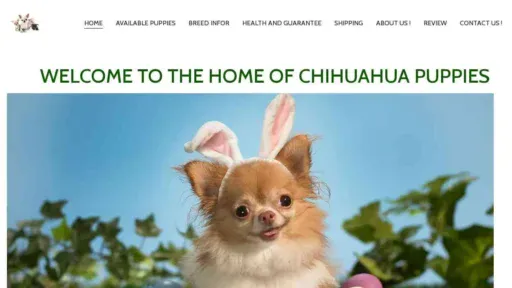 A screenshot of Genlanfamilystbernard.com