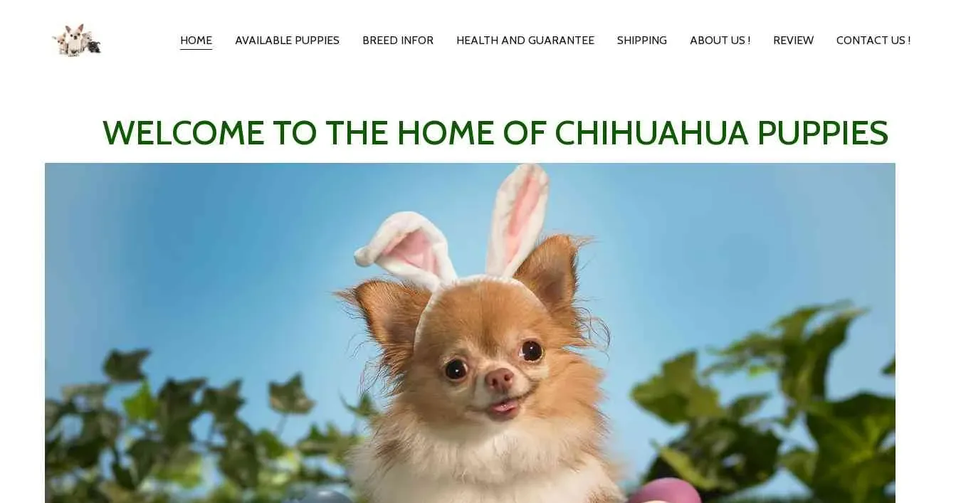 is homeofchihuahuapupps.com legit? screenshot