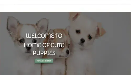 A screenshot of Genlanfamilystbernard.com