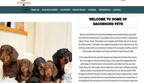 A screenshot of Genlanfamilystbernard.com