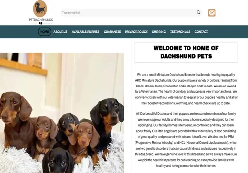 is homeofdachshundpets.com legit? screenshot