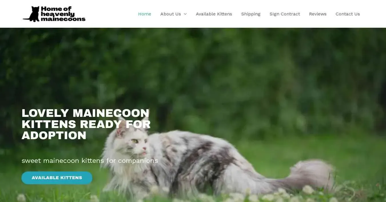 is homeofheavenlymainecoons.com legit? screenshot