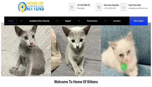 A screenshot of Genlanfamilystbernard.com