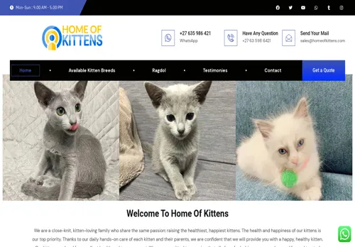is homeofkittens.com legit? screenshot