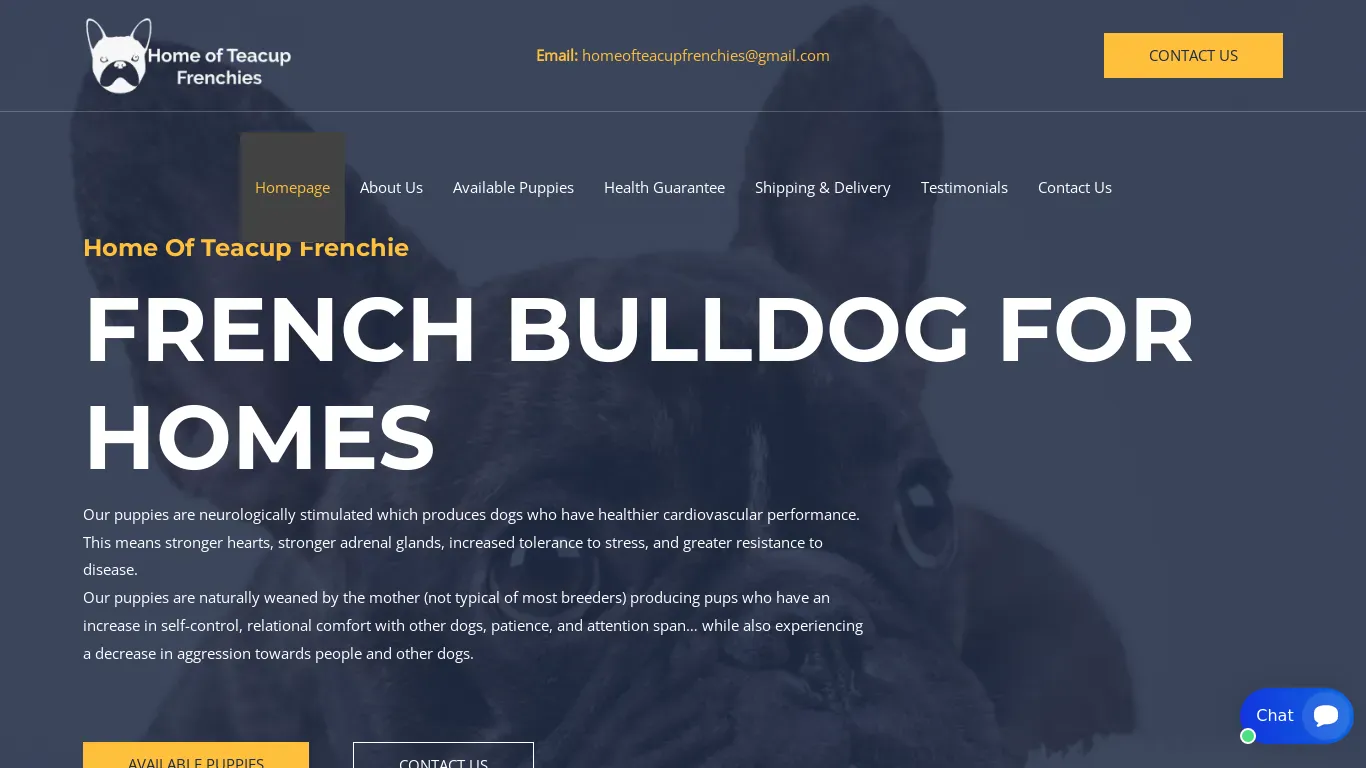 is homeofteacupfrenchies.com legit? screenshot