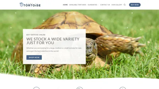 A screenshot of Homeoftortoise.com
