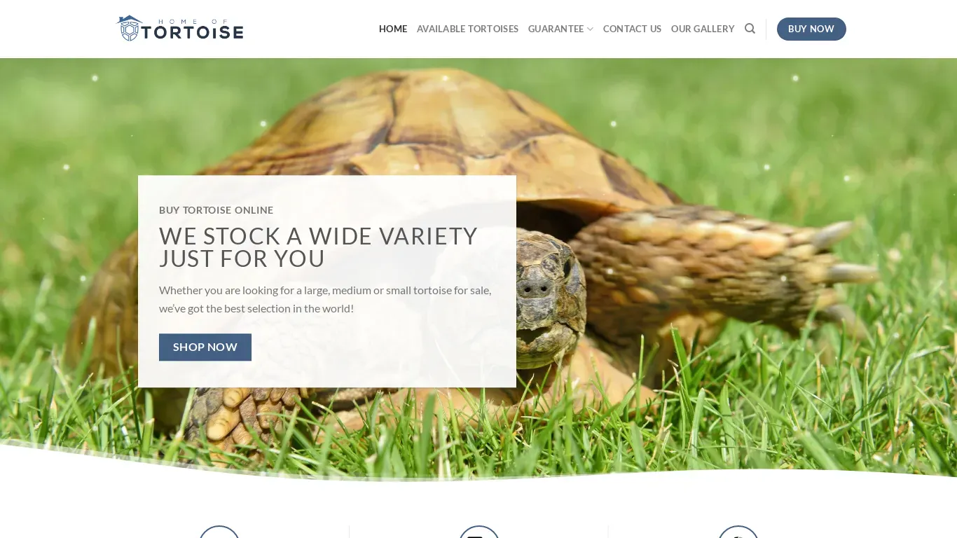 is homeoftortoise.com legit? screenshot