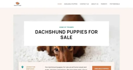 A screenshot of Genlanfamilystbernard.com