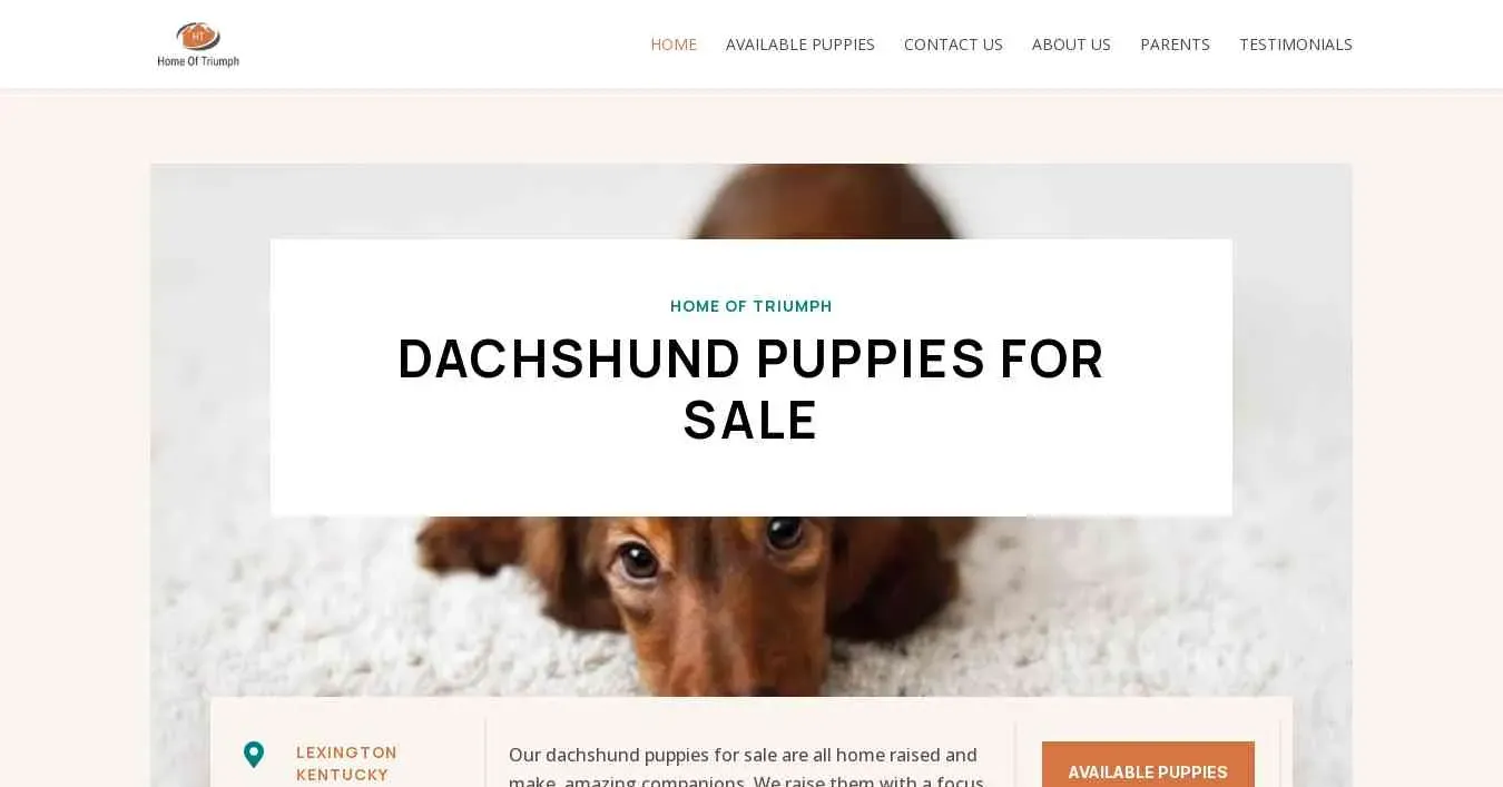 is homeoftriumph.com legit? screenshot