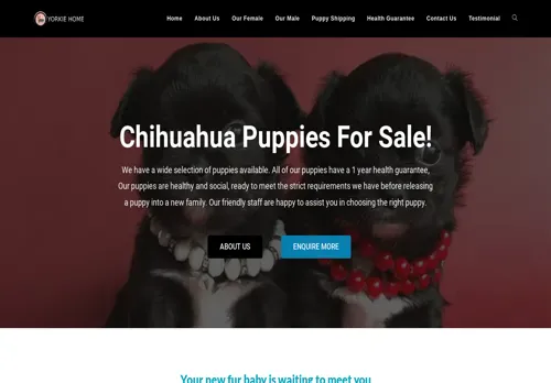 is homeraisedchihuahua.com legit? screenshot