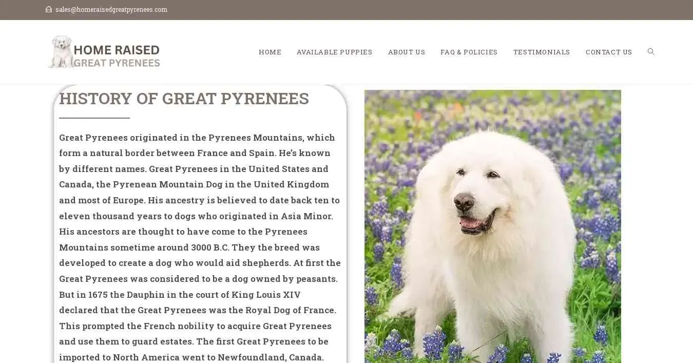 is homeraisedgreatpyrenees.com legit? screenshot
