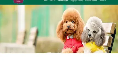 A screenshot of Genlanfamilystbernard.com