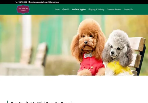 is homeraisedminipoodlepuppiesforsale.com legit? screenshot