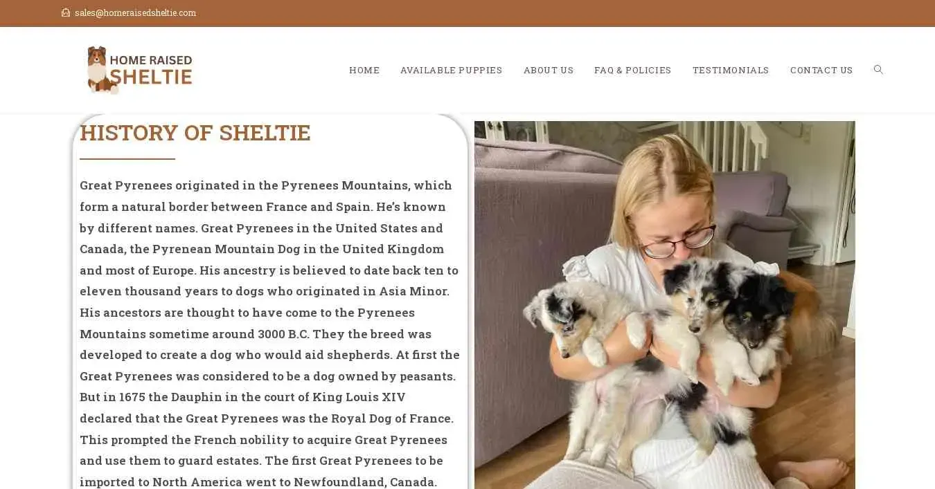 is homeraisedsheltie.com legit? screenshot