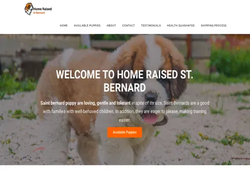 is homeraisedstbernard.com legit? screenshot