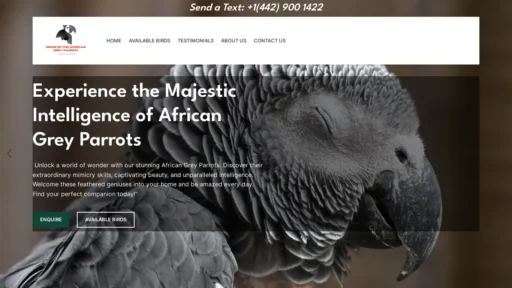 A screenshot of Hometotheafricangreyparrots.com