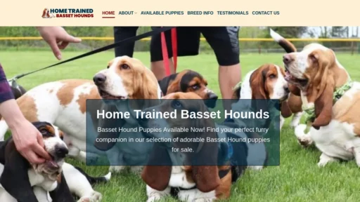 A screenshot of Hometrainedbassethounds.com