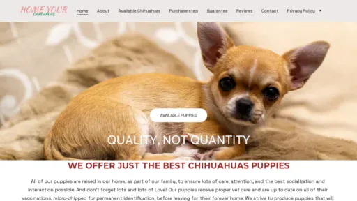A screenshot of Homeyourchihuahuas.com