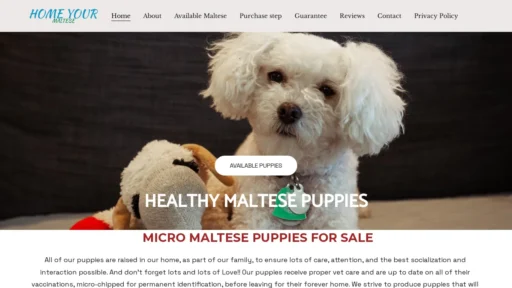 A screenshot of Homeyourmaltese.com