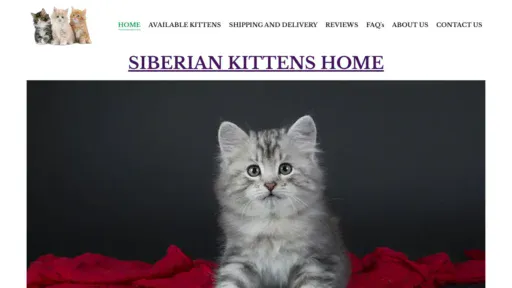 A screenshot of Homeyoursibkitty.com