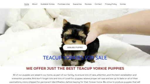 A screenshot of Homeyouryorkies.com
