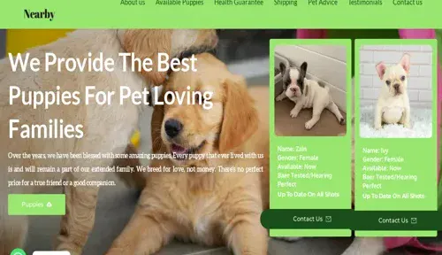 A screenshot of Genlanfamilystbernard.com