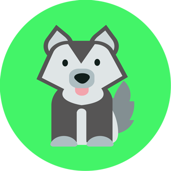 hook-petscam-1