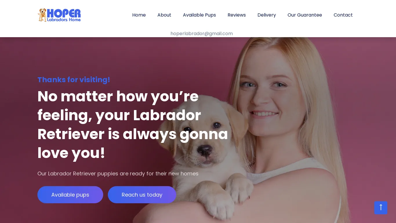 is hoperlabradors.com legit? screenshot