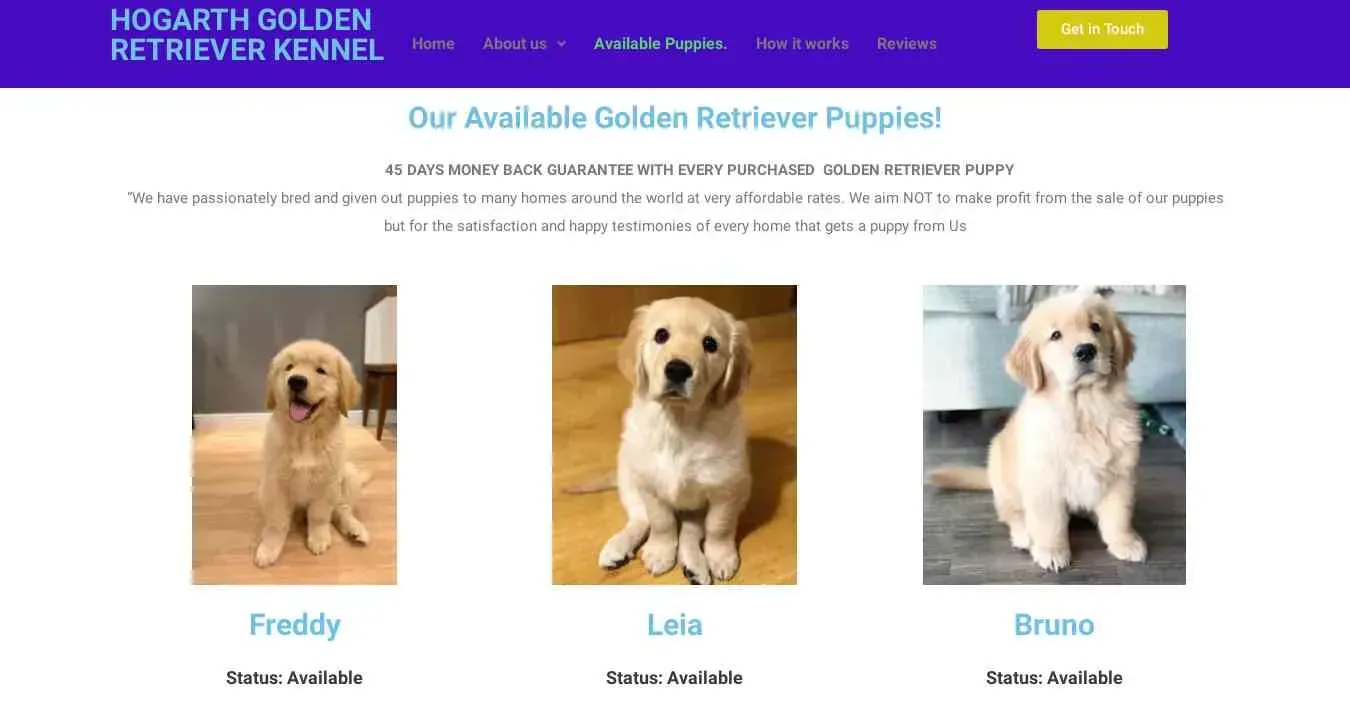 is horgathpureretrieverkennels.com legit? screenshot