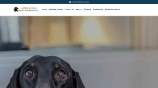 A screenshot of Genlanfamilystbernard.com
