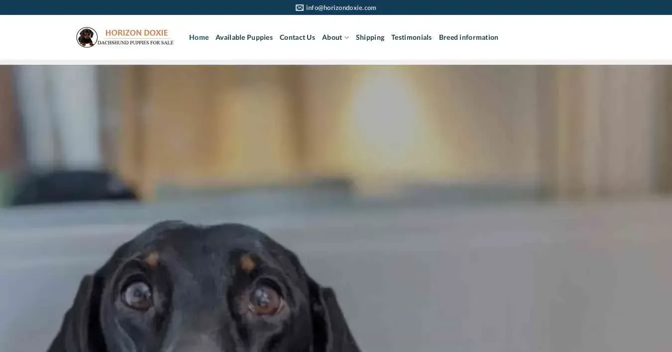 is horizondoxie.com legit? screenshot