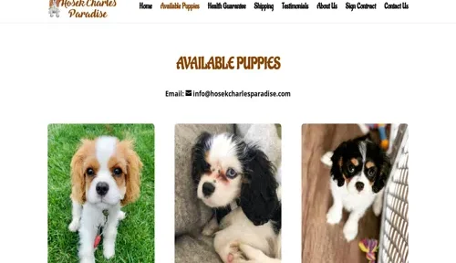A screenshot of Genlanfamilystbernard.com