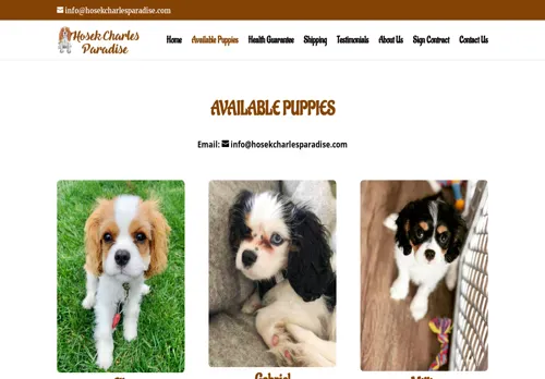 is hosekcharlesparadise.com legit? screenshot