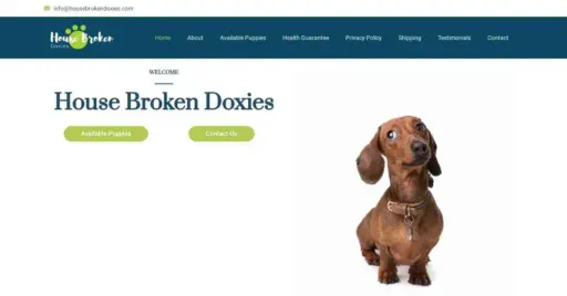 A screenshot of Genlanfamilystbernard.com