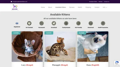 A screenshot of Housebrokenkittens.com