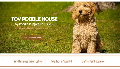 A screenshot of Genlanfamilystbernard.com