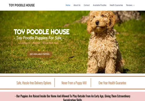 is htoypoodlepuppies.com legit? screenshot